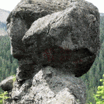 Látnivalók » Tájak » Kőgombák az Öregtető (Batrina) északi lejtőjén